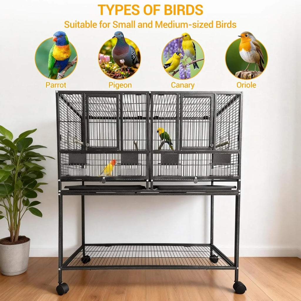 Grande Cage à Oiseaux en Fer Forgé sur Roulettes – Tiroir Coulissant, Perchoirs, Mangeoires – Idéale Perroquets, Calopsites, Inséparables & Pinsons