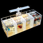 Aquarium Acrylique Écologique 220V pour Betta – Incubateur, Boîte d'Isolation, Bureau, Mini Aquarium Créatif