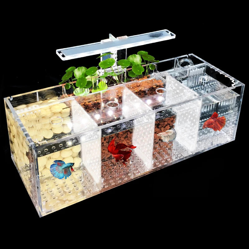 Aquarium Acrylique Écologique 220V pour Betta – Incubateur, Boîte d'Isolation, Bureau, Mini Aquarium Créatif