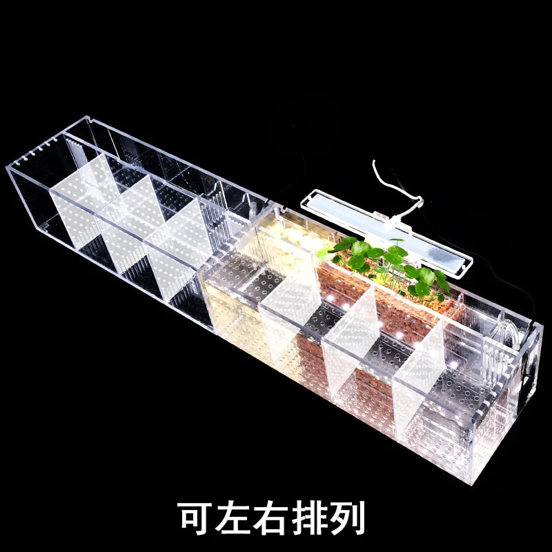 Aquarium Acrylique Écologique 220V pour Betta – Incubateur, Boîte d'Isolation, Bureau, Mini Aquarium Créatif