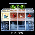 Aquarium Acrylique Écologique 220V pour Betta – Incubateur, Boîte d'Isolation, Bureau, Mini Aquarium Créatif