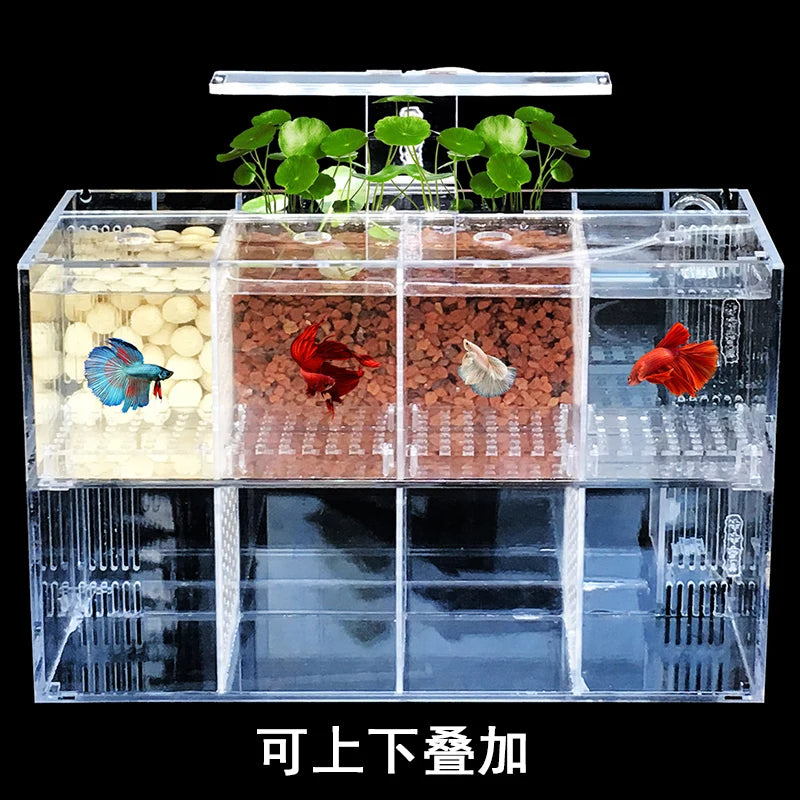 Aquarium Acrylique Écologique 220V pour Betta – Incubateur, Boîte d'Isolation, Bureau, Mini Aquarium Créatif