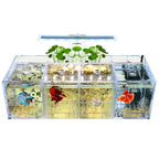 Aquarium Acrylique Écologique 220V pour Betta – Incubateur, Boîte d'Isolation, Bureau, Mini Aquarium Créatif