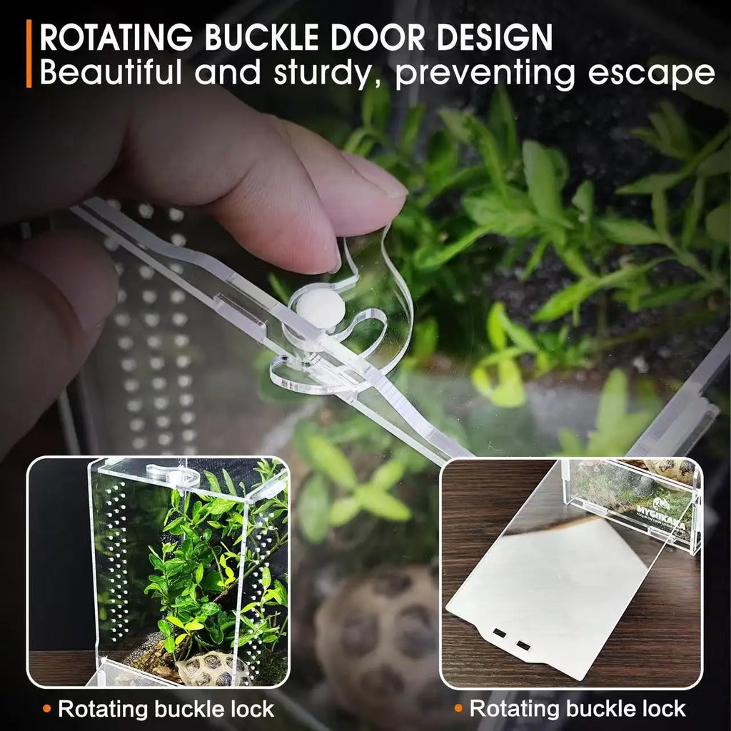 Boîte en Acrylique Transparente pour Insectes – Terrarium Personnalisable pour Araignées, Décor Rainforest et Animaux Rampants