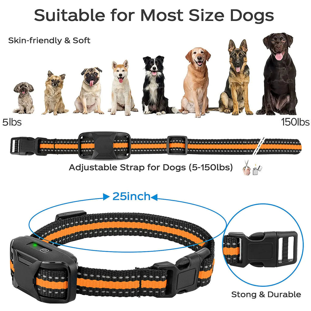 Collier de Dressage pour Chien 1000m – Télécommande, Rechargeable, Étanche, Bip/Vibration/Choc, Haute Qualité