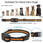 Collier de Dressage pour Chien 1000m – Télécommande, Rechargeable, Étanche, Bip/Vibration/Choc, Haute Qualité