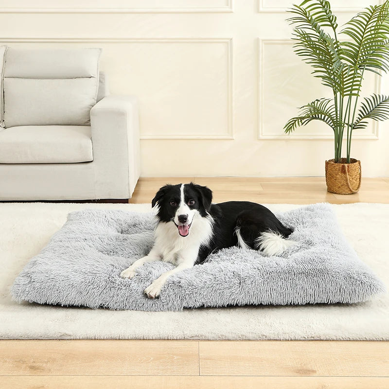 Lit Sofa Doux en Peluche Longue pour Chien et Chat – Coussin Confortable, Corbeille Animaux