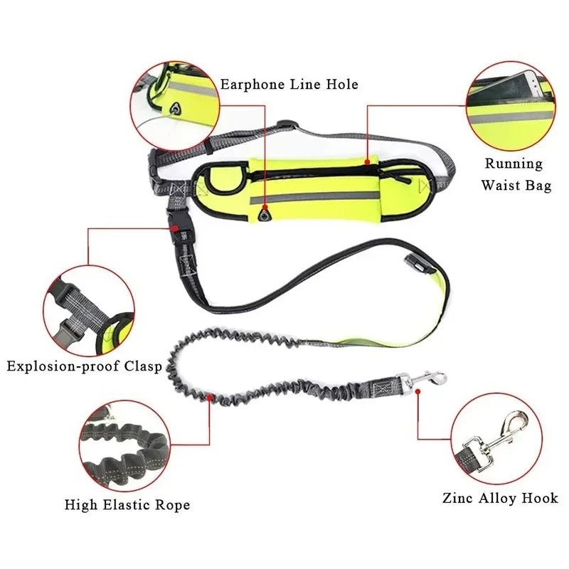 Laisse de Course pour Chien – Ceinture Lombaire avec Sac, Laisse Élastique Rétractable, Réfléchissante, Nylon