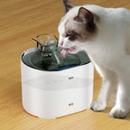 Fontaine à Eau Automatique USB pour Chat – Ultra Silencieuse