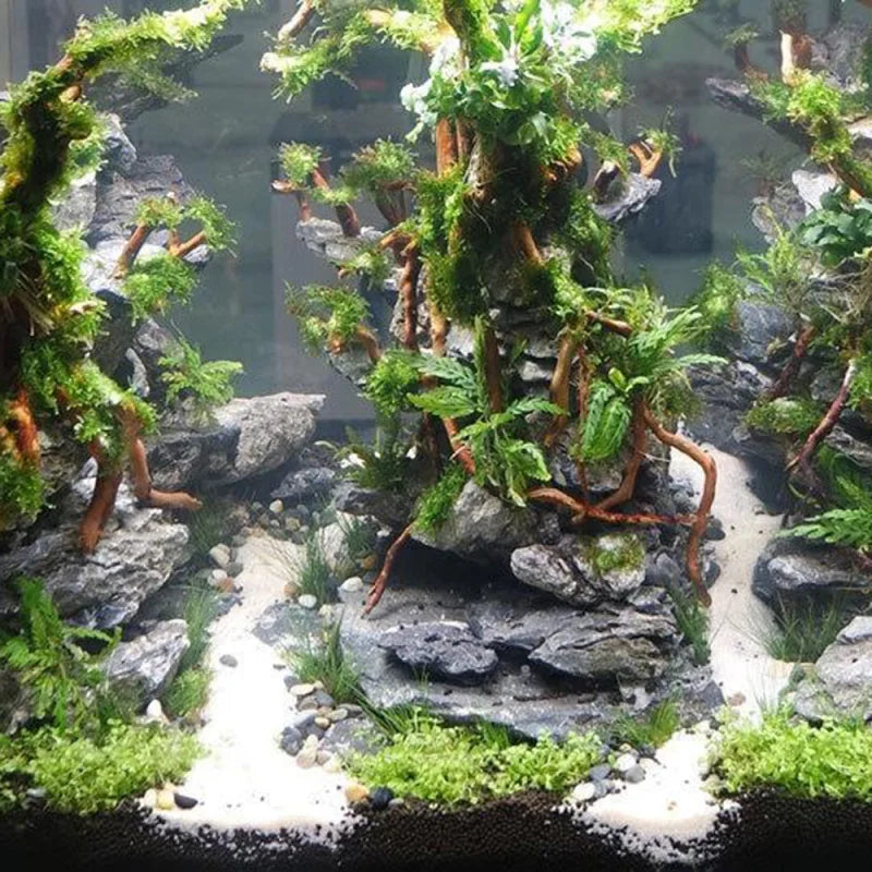 Racine de Bois Flotté Naturel pour Aquarium – Tronc, Branche, Décoration DIY Micro-Paysage Bac à Poissons