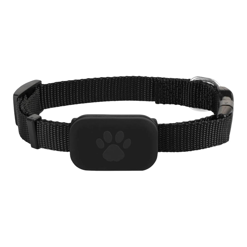 Traceur GPS Étanche pour Chien et Chat – Suivi en Temps Réel