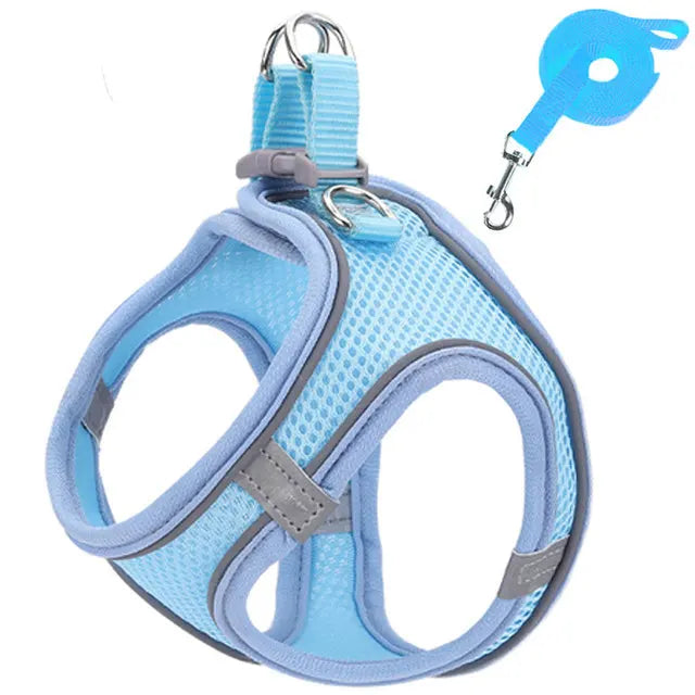 Harnais Réfléchissant Réglable pour Chat et Petit Chien – Laisse Incluse, Accessoires Animaux