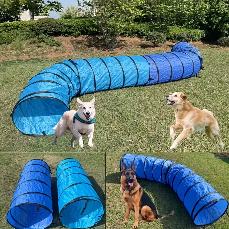 Tunnel d'Agilité Pliable pour Chien et Chat – Équipement d'Entraînement Outdoor et Sports Canins