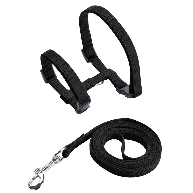 Harnais et Laisse Réglables pour Lapin et Chat – Nylon, Balade Extérieure, Chaton, Lapin Nain (Accessoires)