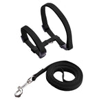 Harnais et Laisse Réglables pour Lapin et Chat – Nylon, Balade Extérieure, Chaton, Lapin Nain (Accessoires)