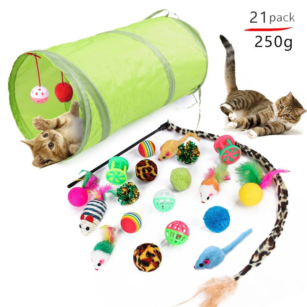 Set de Jouets Variés pour Chatons : Canne, Souris Sisal, Balle à Grelot et Accessoires
