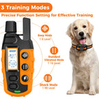 Collier de Dressage Électrique pour Chien 1000m – Télécommande, Étanche, Choc/Vibration/Son, pour Chiens de 2 à 55 kg