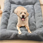 Lit Canapé pour Chien Grande Taille – Peluche Épaisse Ultra-Douce, Tapis Polyester pour Grand Chien