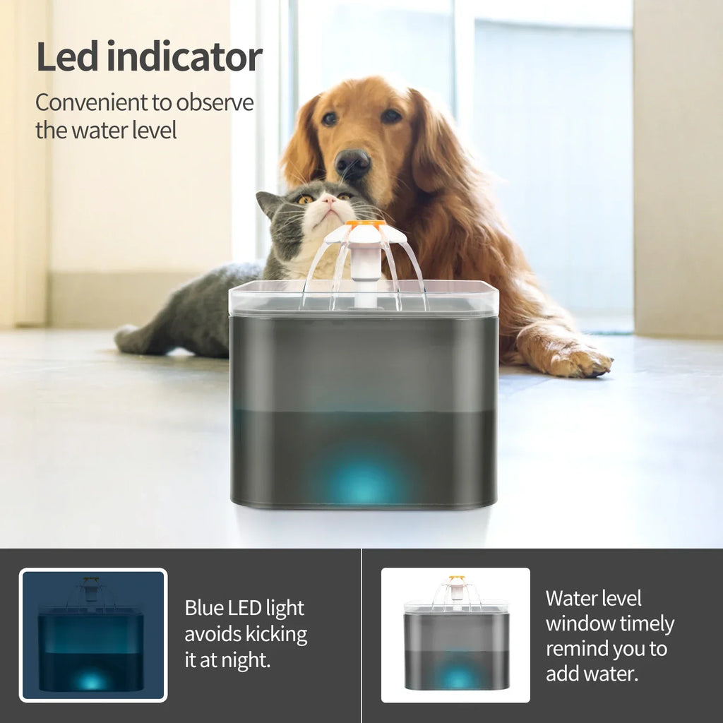 Fontaine à Eau LED pour Chat 2L – Ultra Silencieuse
