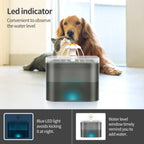 Fontaine à Eau LED pour Chat 2L – Ultra Silencieuse