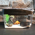 Boîte Transparente Anti-Évasion pour Reptiles – Terrarium en Plastique avec Couvercle Rabattable pour Lézards, Escargots et Petits Reptiles