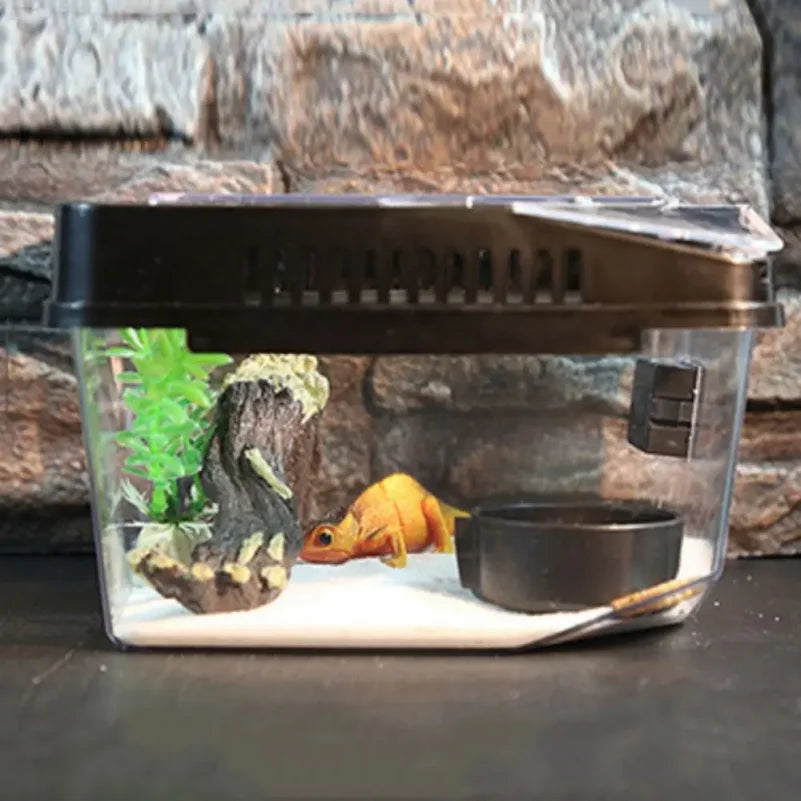 Boîte Transparente Anti-Évasion pour Reptiles – Terrarium en Plastique avec Couvercle Rabattable pour Lézards, Escargots et Petits Reptiles