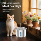 Fontaine à Eau en Acier Inoxydable pour Chat et Chien – 2,2L / 75oz, Distributeur Automatique, Système de Filtration