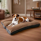 Tapis Canapé Velours Côtelé pour Grand Chien – Épais, Ultra-Doux, Lavable, Taille XL à XXXL