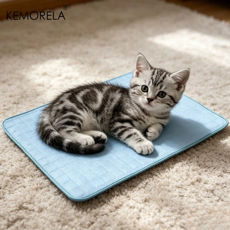 Tapis Rafraîchissant pour Chien – Lit Frais Respirant pour Petits et Grands Chiens, Idéal pour l'Été