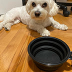 Gamelle Pliable en Silicone pour Chien et Chat – Bol Portable avec Mousqueton pour Camping, Voyage et Balade Outdoor