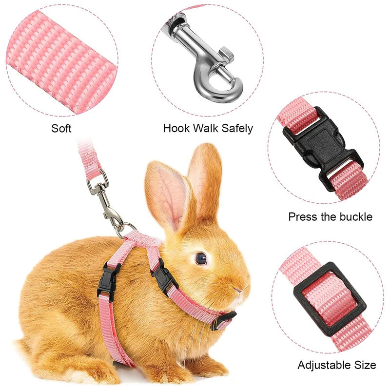 Harnais et Laisse Réglables pour Lapin et Chat – Nylon, Balade Extérieure, Chaton, Lapin Nain (Accessoires)