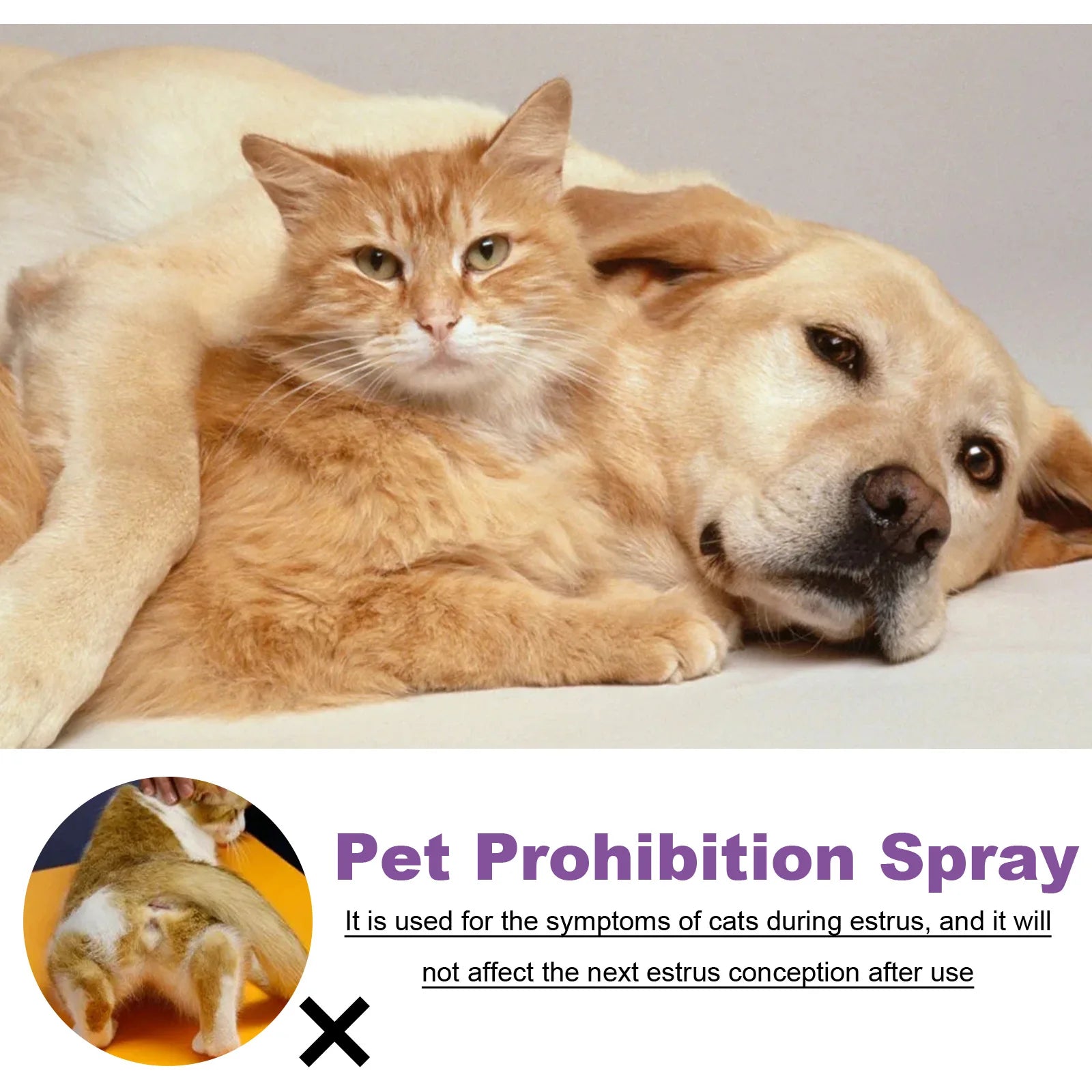 Spray Calmant aux Phéromones pour Chat et Chien – Réducteur d'Anxiété et d'Éstrus, Diffuseur Apaisant Anti-Aboiements
