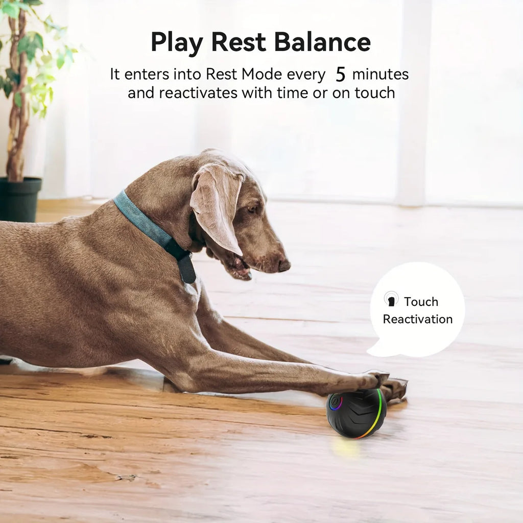 Balle Interactive Intelligente pour Chien – Roulement & Rebond Aléatoire, Lumières Colorées, Rechargeable USB – 4h d'Autonomie