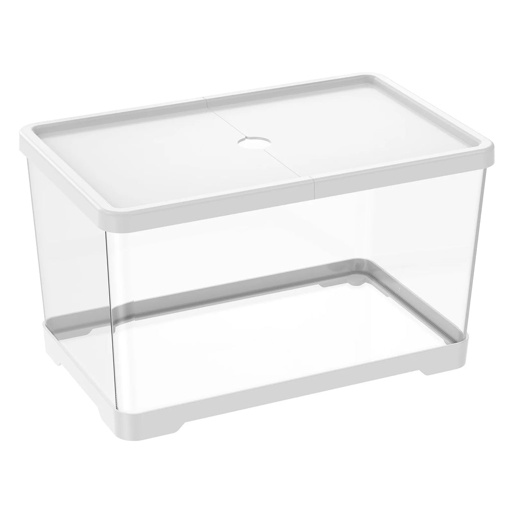 Aquarium Transparent Rectangulaire avec Couvercle – Bureau ou Maison, Plantes Aquatiques, Décoration Intérieure