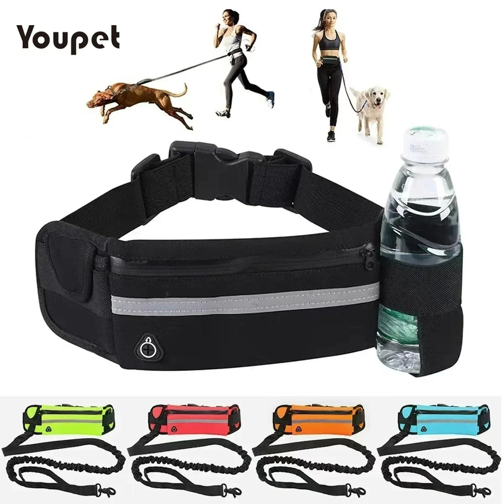 Laisse de Course pour Chien – Ceinture Lombaire avec Sac, Laisse Élastique Rétractable, Réfléchissante, Nylon