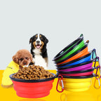 Gamelle Pliable en Silicone pour Chien et Chat – Bol Portable avec Mousqueton pour Camping, Voyage et Balade Outdoor