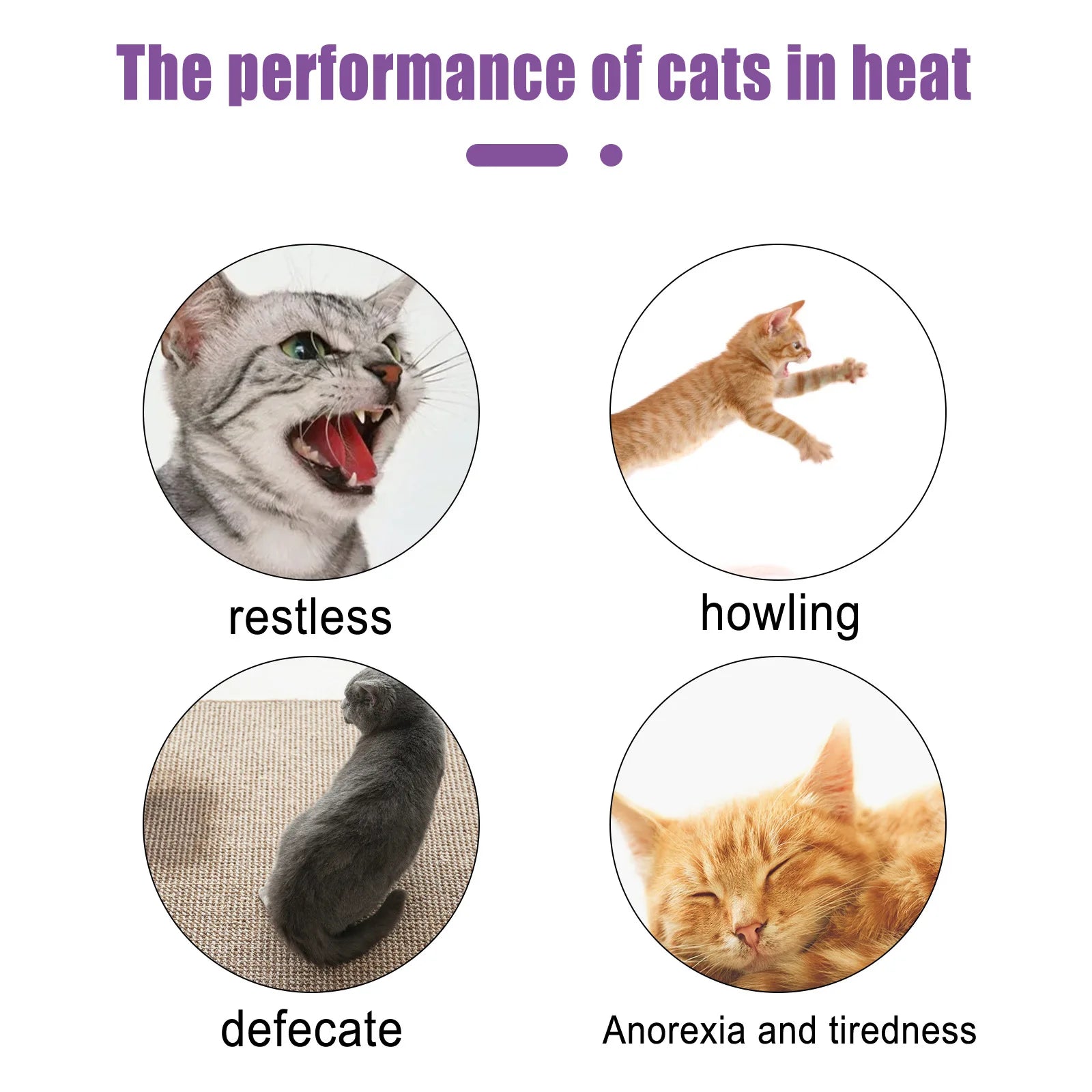 Spray Calmant aux Phéromones pour Chat et Chien – Réducteur d'Anxiété et d'Éstrus, Diffuseur Apaisant Anti-Aboiements