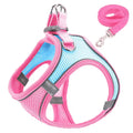 Harnais Réfléchissant Réglable pour Chat et Petit Chien – Laisse Incluse, Accessoires Animaux