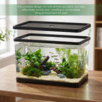 Aquarium Transparent Rectangulaire avec Couvercle – Bureau ou Maison, Plantes Aquatiques, Décoration Intérieure