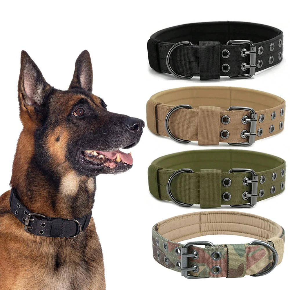 Collier Tactique Militaire pour Chien – Nylon Robuste, Réglable, pour Chiens Moyens et Grands
