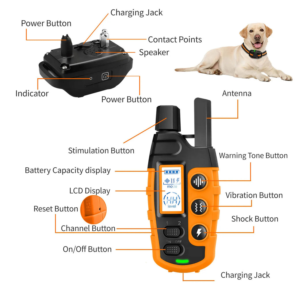 Collier de Dressage pour Chien 1000m – Télécommande, Rechargeable, Étanche, Bip/Vibration/Choc, Haute Qualité