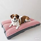 Tapis Canapé Velours Côtelé pour Grand Chien – Épais, Ultra-Doux, Lavable, Taille XL à XXXL