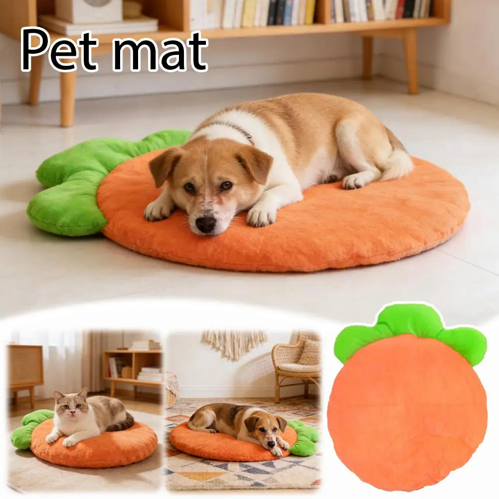 Coussin Lavable pour Chat et Chien – Tapis Doux en Forme de Carotte pour Petits Animaux