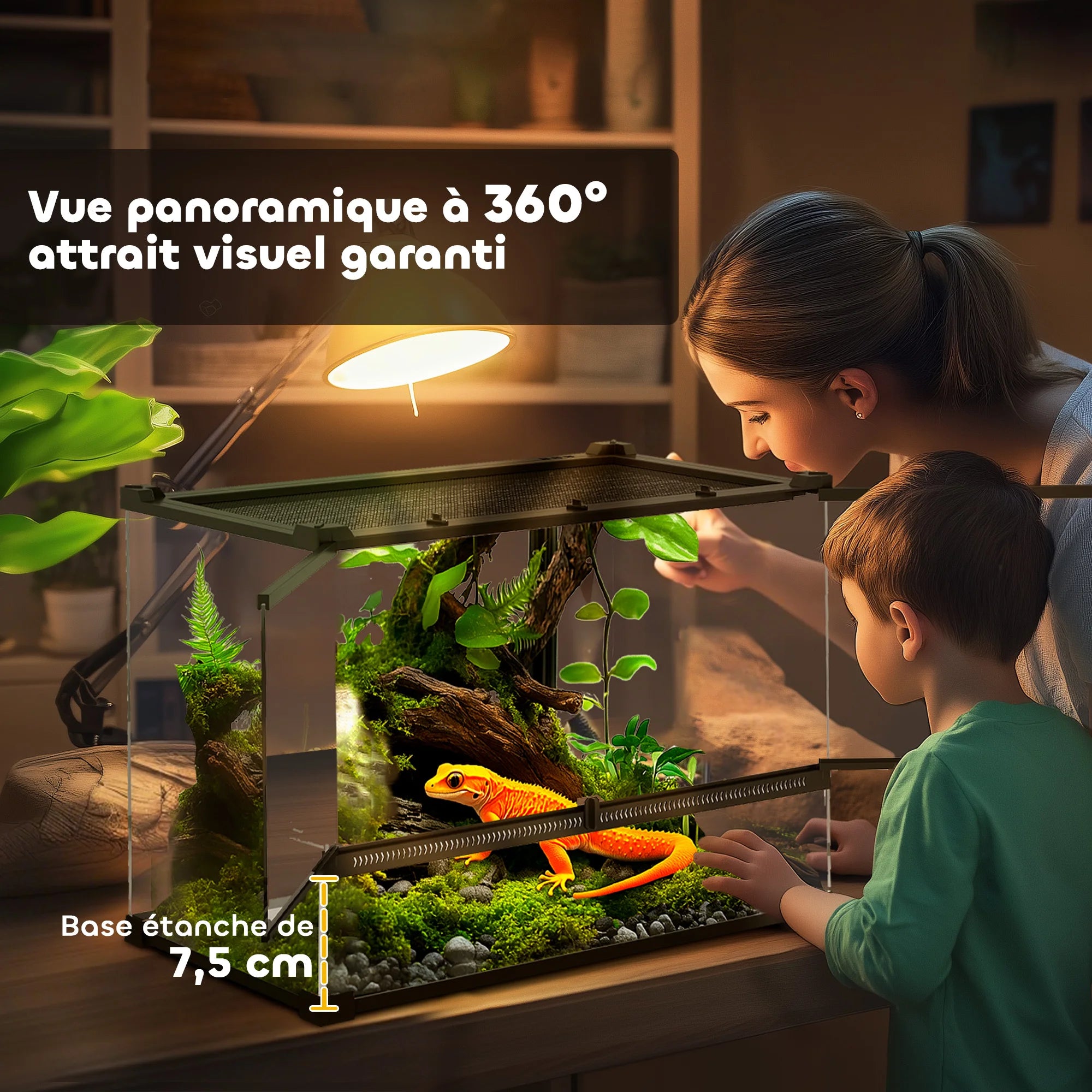 Terrarium Reptile – Boîte d'Élevage en Verre Trempé, Fermeture Sécurisée, Ventilation Frontale, Sans Montage, 50x30x35 cm, Noir