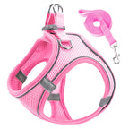 Harnais Réfléchissant Réglable pour Chat et Petit Chien – Laisse Incluse, Accessoires Animaux