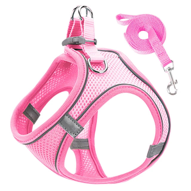 Harnais Réfléchissant Réglable pour Chat et Petit Chien – Laisse Incluse, Accessoires Animaux