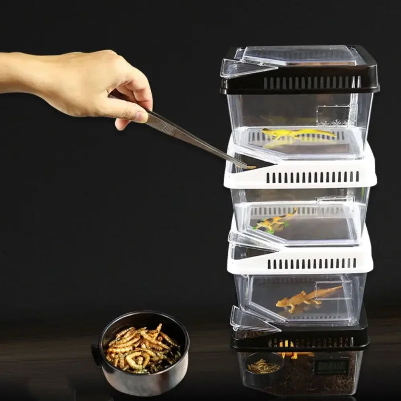 Boîte Transparente Anti-Évasion pour Reptiles – Terrarium en Plastique avec Couvercle Rabattable pour Lézards, Escargots et Petits Reptiles