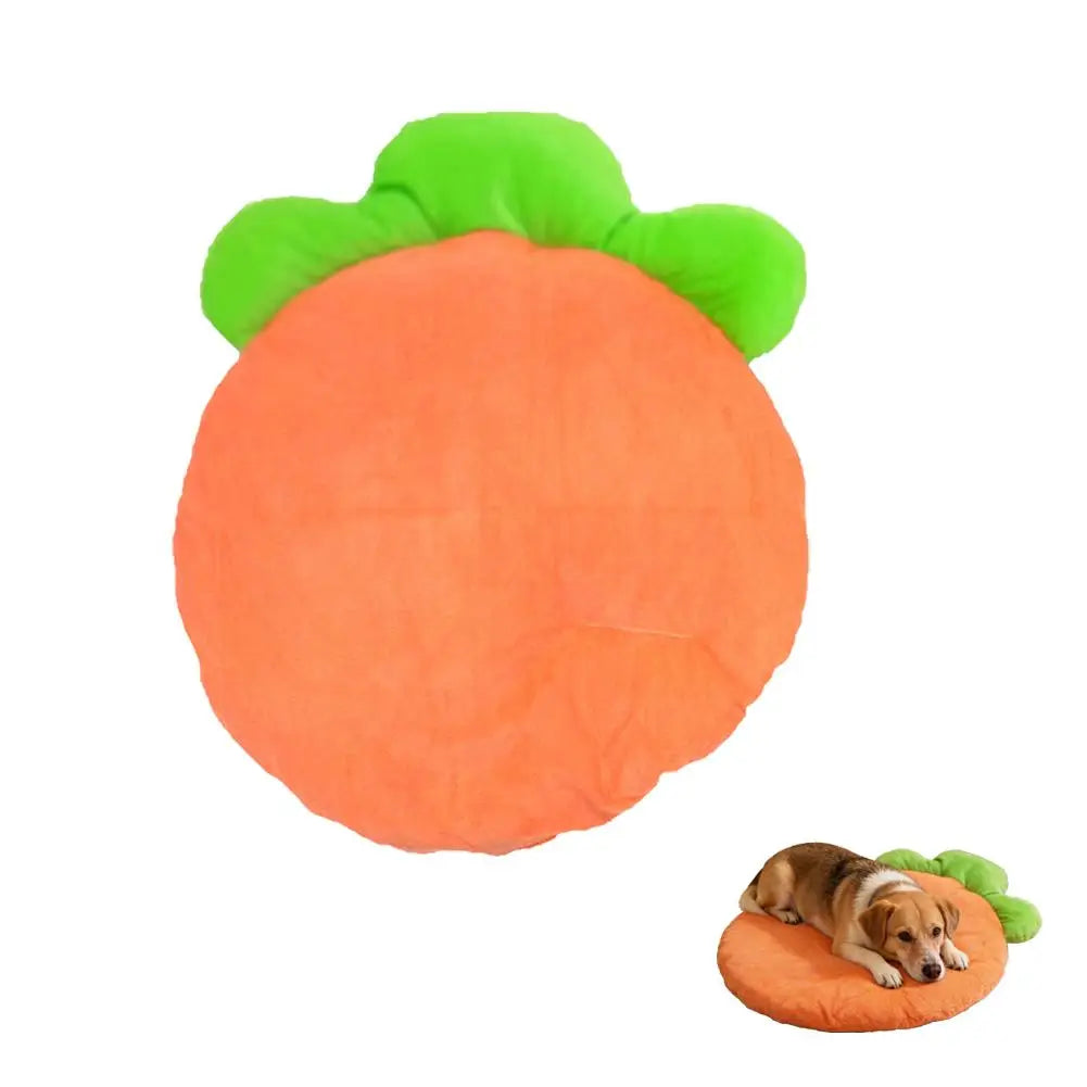 Coussin Lavable pour Chat et Chien – Tapis Doux en Forme de Carotte pour Petits Animaux