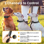 ROJECO Collier de Dressage Électrique Digital pour Chien – Rechargeable, Télécommande, IPX7 Étanche, Anti-Aboiement