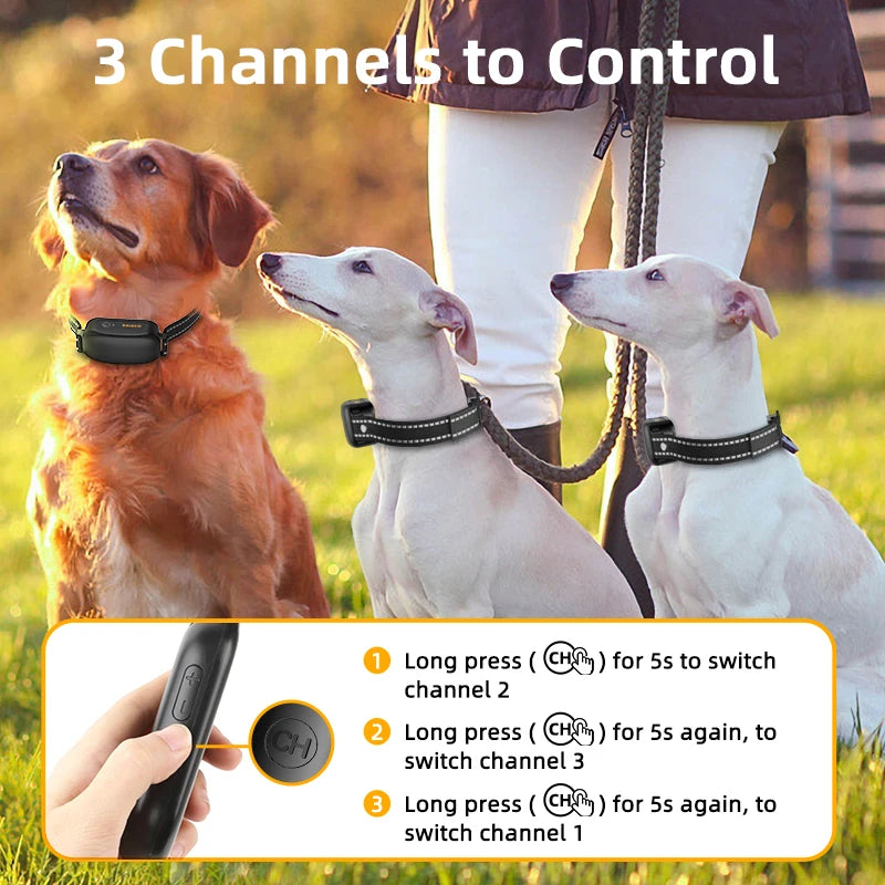 ROJECO Collier de Dressage Électrique Digital pour Chien – Rechargeable, Télécommande, IPX7 Étanche, Anti-Aboiement